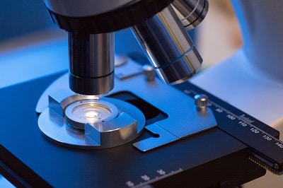 Microscope Detail Analyzing Semen Samples